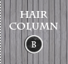 HAIR COLUMN